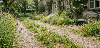 allee gravier les differentes solutions pour se debaresser des mauvaises herbes 