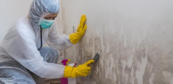 femme nettoyant un mur humide