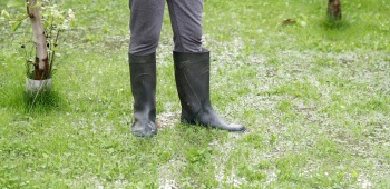 Personne avec bottes en caoutchouc dans un jardin détrempé