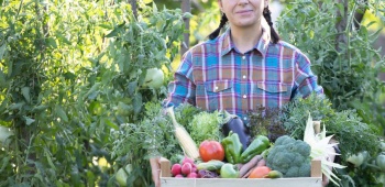 premier potager