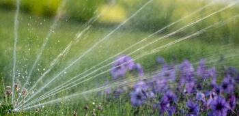 Arrosage automatique du jardin