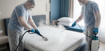 vous avez des acariens dans votre lit ? Faites appel à un professionnel