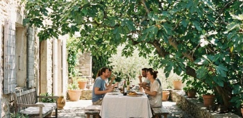 une table de convives à l'ombre d'un figuier 
