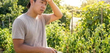 arrossage canicule comment prendre soin de votre jardin de facon optimale