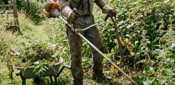 comment se debarasser des orties et des ronces qui envahissent votre jardin 