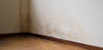 mur mitoyen humide