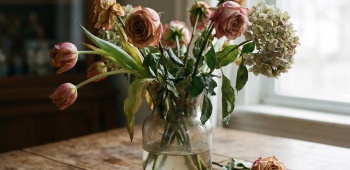 que faire quand vos fleurs fanent en 3 jours ?