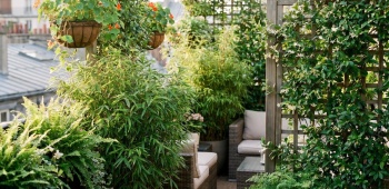 un balcon rempli de plantes, idéal pour apporter un peu de fraicheur
