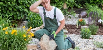 Les secrets pour prendre soin de votre jardin pendant la canicule que les jardiniers gardent secrets