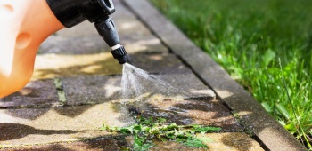 mauvaises herbes allée remède miracle comment procéder ?
