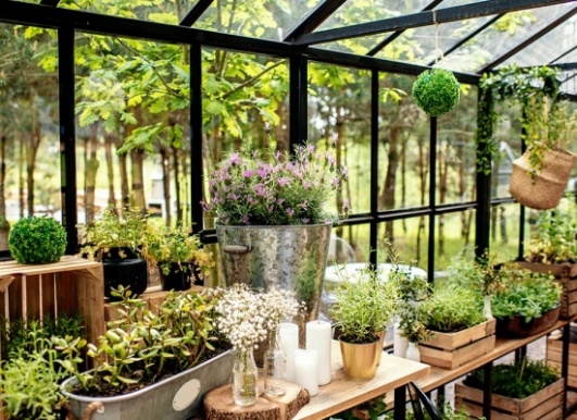 Ootravaux-veranda-fer-acier-prix