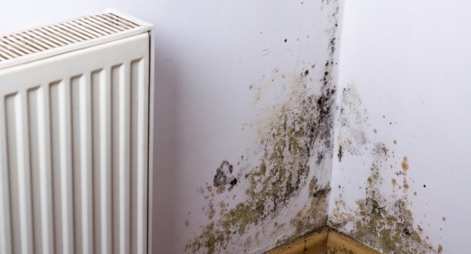 Photo d'un mur avec traces humidités