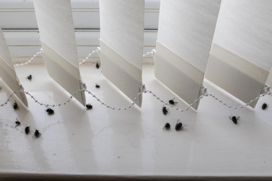 mouches-maison-solutions-ootravaux