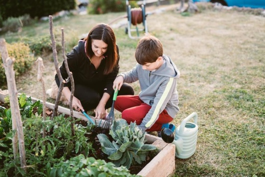 jardin-potager-enfant