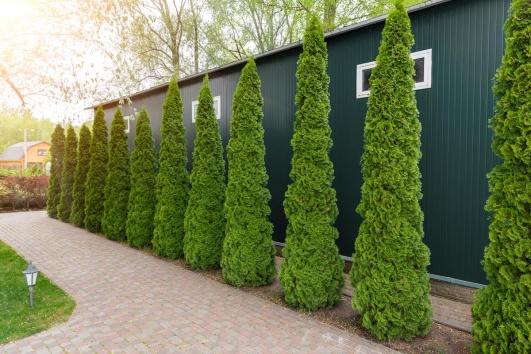 Ootravaux