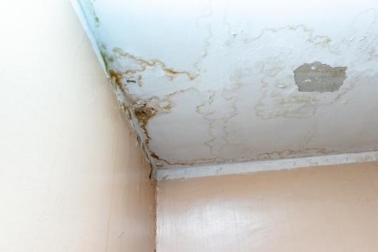 aureoles sur un plafond signe d'une fuite