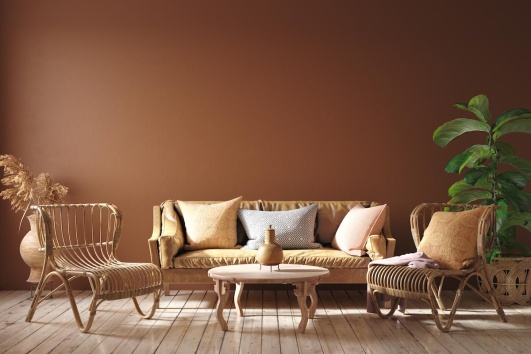 Salon tendance avec mur peint en terracotta.