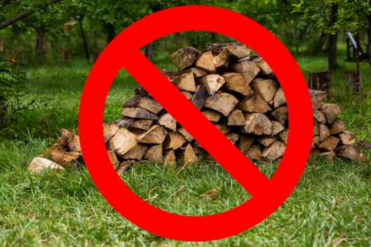 découvrez les erreurs à ne pas faire avec son bois de chauffage