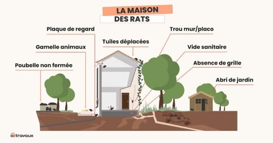 La-maison-des-rats