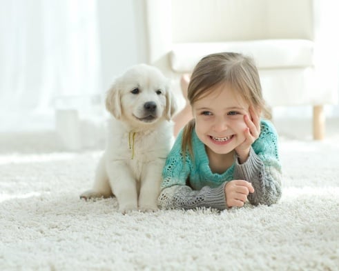 un chiot et une petite fille joyeux sur une moquette douillette