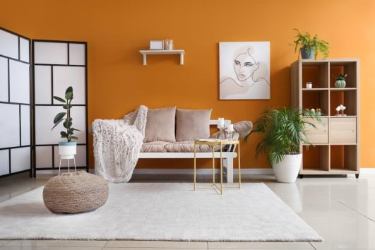 couleur abricot dans un salon pour une touche vitaminee