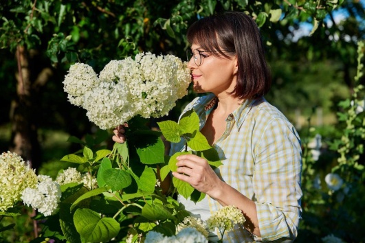 Femme-hortensias