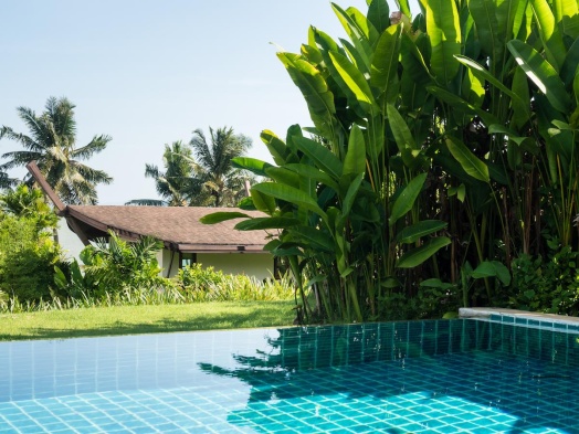 Bananiers au bord d'une piscine dans un jardin.