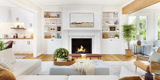 salon style scandinave