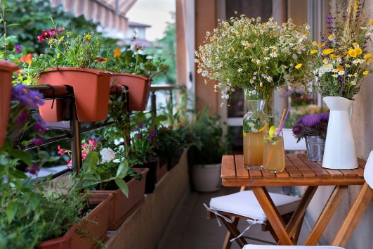Balcon avec des jardinières de fleurs.
