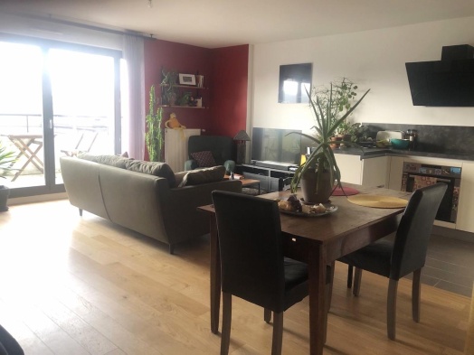 salon transformé après travaux