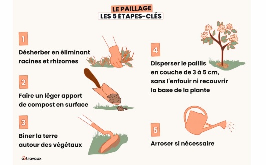 infographie comprendre comment bien pailler