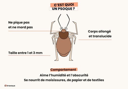 infographie decrivant un psoque