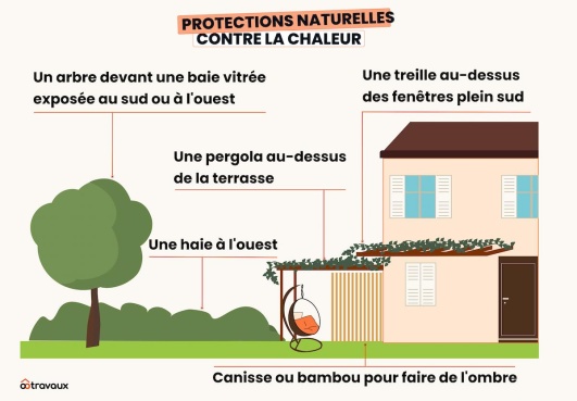 Infographie représentant les protections naturelles contre la chaleur
