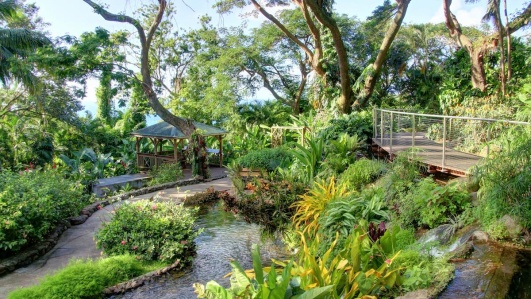 jardin-exotique-eau