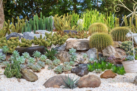 jardin-exotique