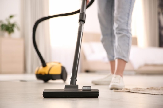 l'aspirateur une première solution poiyr puces de parquet