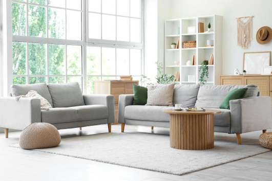 salon-lumineux-scandinave