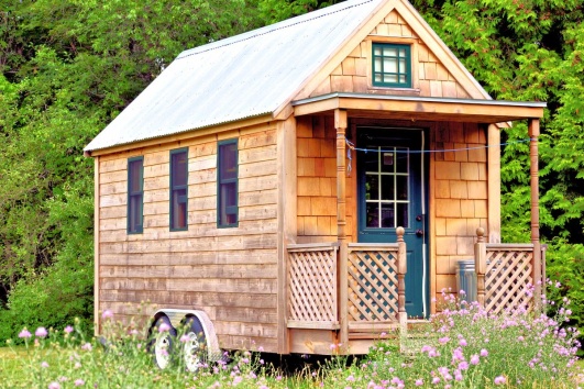 tiny house en bois 
