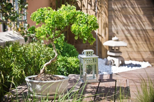 amenagement jardin zen