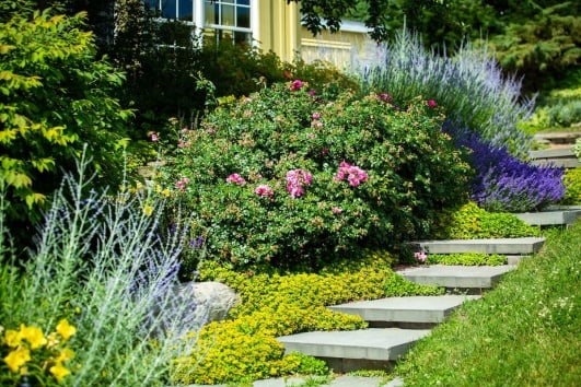 parterre-escalier-pierre