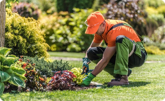image cta jardinier