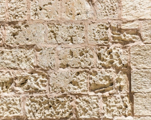 Mur en pierre souffrant d'une maladie