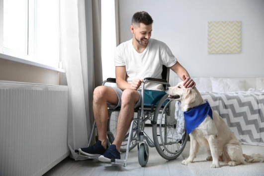 Homme en fauteuil roulant dans une chambre, caressant un chien