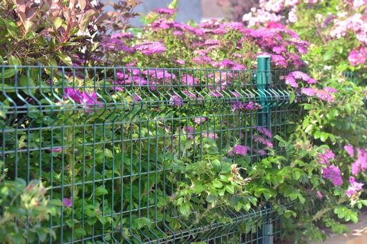 Grillage et fleurs