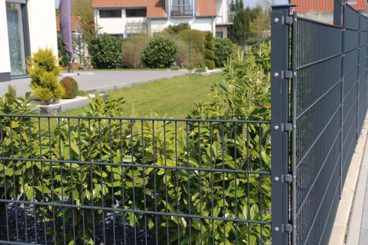 Cloture rigide autour d'un jardin