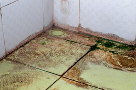 carrelage qui moisi pour à cause de l'humidite