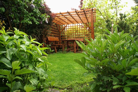 pergola sur une pelouse