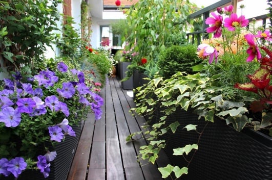 terrasse fleurie