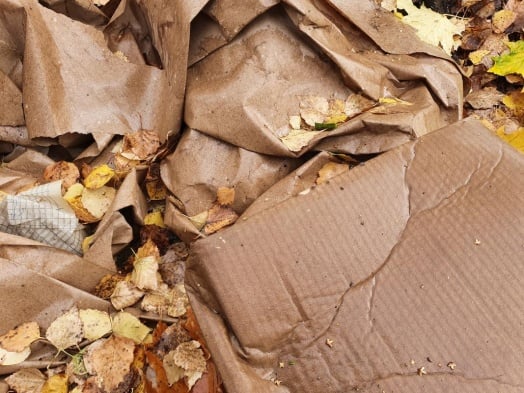 cartons humides et feuilles