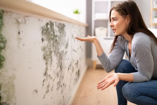 femme constatant de la moisissure sur le mur de sa chambre